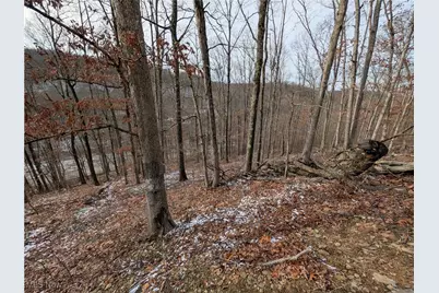 1054 Bergholz Road SE, Mechanicstown, OH 43908 - Photo 32