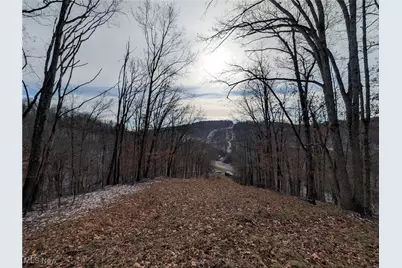 1054 Bergholz Road SE, Mechanicstown, OH 43908 - Photo 24