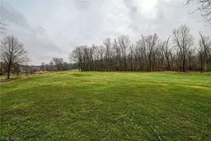 1238 Maxfli Dr, Akron, OH 44312 - Photo 46