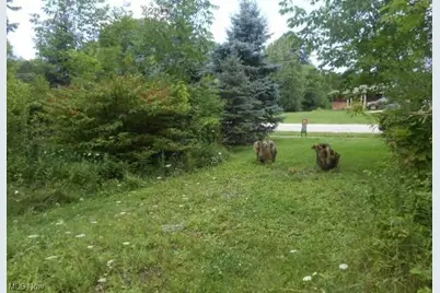 Vl Shurmer Road, Strongsville, OH 44136 - Photo 1