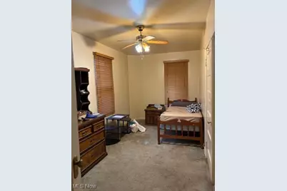 310 Vaniman Street, Akron, OH 44305 - Photo 20