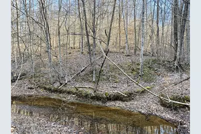 88 Ivy Road, Gandeeville, WV 25243 - Photo 10