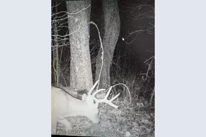 12025 Pleasant Valley Road, Frazeysburg, OH 43822 - Photo 26