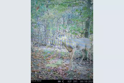 12025 Pleasant Valley Road, Frazeysburg, OH 43822 - Photo 28