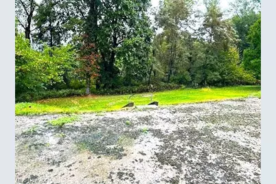 2719 Cleveland Avenue, Steubenville, OH 43952 - Photo 2