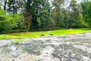 2719 Cleveland Ave, Steubenville, OH 43952 - Photo 2