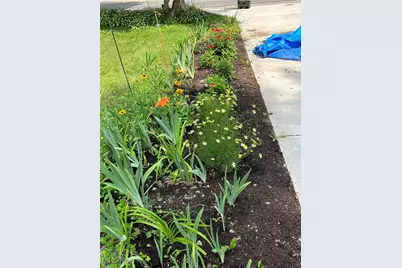 441 E College Street, Oberlin, OH 44074 - Photo 6