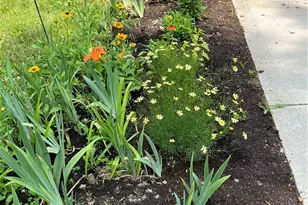 441 E College St, Oberlin, OH 44074 - Photo 6