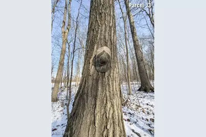0 Hinton Mill Road, Marysville, OH 43040 - Photo 46