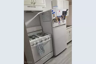 1007 Leroy Street, Lorain, OH 44052 - Photo 8