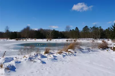 20630 State Route 301, Wellington, OH 44090 - Photo 44