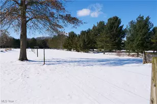 20630 State Route 301, Wellington, OH 44090 - Photo 40