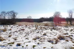 352 S Ridge Rd E, Conneaut, OH 44030 - Photo 4