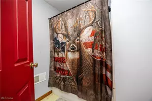 828 Green Dr, Coshocton, OH 43812 - Photo 38