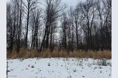 0 Crossbridge Court, Lexington, OH 44904 - Photo 4