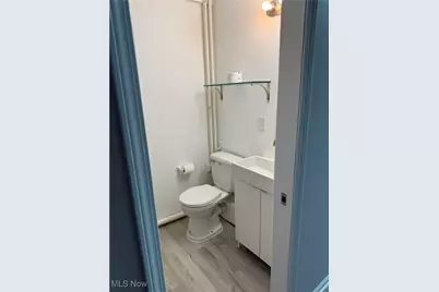 1667 E 40th Street, Loveland, OH 44103 - Photo 32