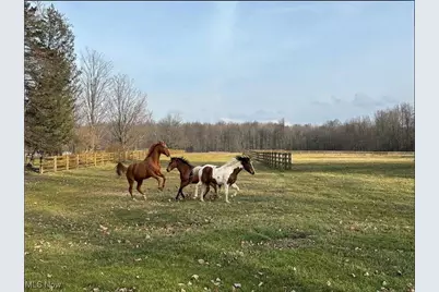 9300 N Main Street, Windham, OH 44288 - Photo 1