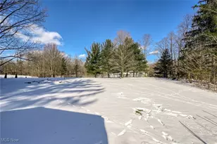 349 E Mennonite Rd, Aurora, OH 44202 - Photo 30