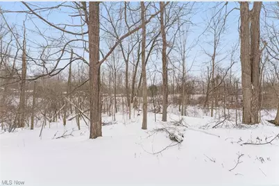 604 W Acadia Point, Aurora, OH 44202 - Photo 46