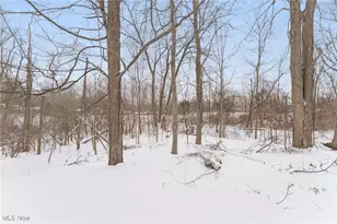 604 W Acadia Point, Aurora, OH 44202 - Photo 46