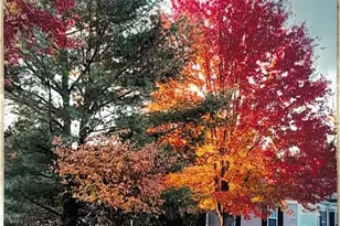 455 Edge Park Ln, Brunswick, OH 44212 - Photo 42