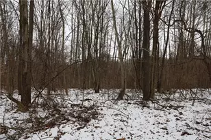 29311 Rabbit Ridge Rd, Howard, OH 43028 - Photo 20