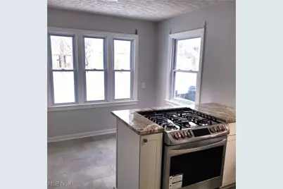 952 Elbon Road, Cleveland Heights, OH 44121 - Photo 6
