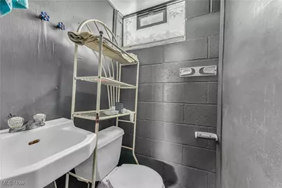 11909 Avon Avenue, Loveland, OH 44105 - Photo 10