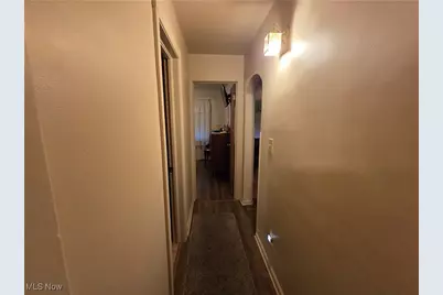 11101 Avon Avenue, Loveland, OH 44105 - Photo 4