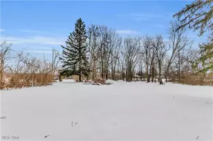 9391 Columbia Rd, Olmsted Falls, OH 44138 - Photo 34