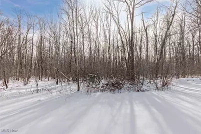 543 Sherwood Drive, Aurora, OH 44202 - Photo 44