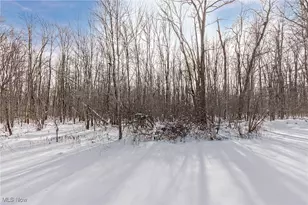 543 Sherwood Dr, Aurora, OH 44202 - Photo 44