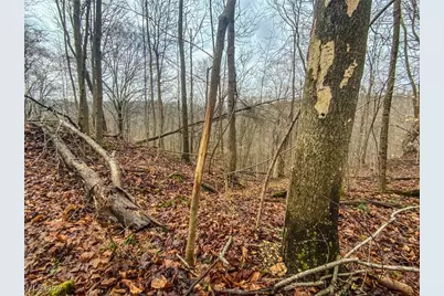 0 New Cut Rd, Shadyside, OH 43947 - Photo 20