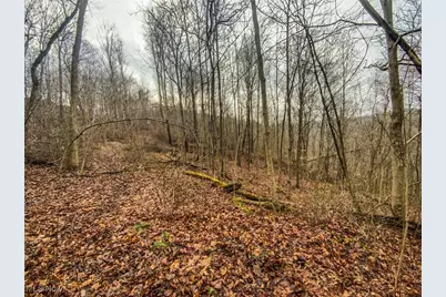 0 New Cut Rd, Shadyside, OH 43947 - Photo 16