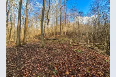 0 New Cut Rd, Shadyside, OH 43947 - Photo 4