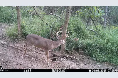 Perl Road, Chandlersville, OH 43727 - Photo 8