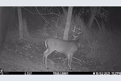 Perl Road, Chandlersville, OH 43727 - Photo 6