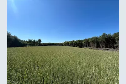Perl Road, Chandlersville, OH 43727 - Photo 40
