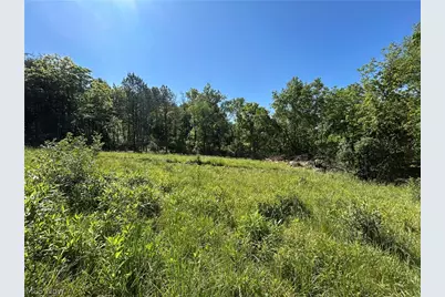 Perl Road, Chandlersville, OH 43727 - Photo 46