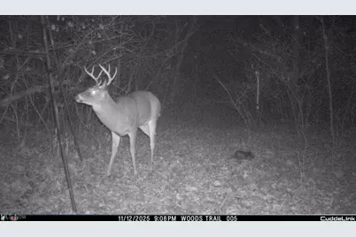 7610 State Route 309, Galion, OH 44833 - Photo 26