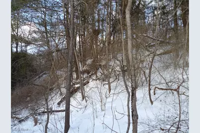 477 W 39th Street, Shadyside, OH 43947 - Photo 36