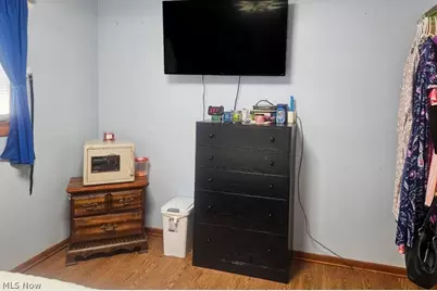 1115 Birch Lane, Loveland, OH 44109 - Photo 14