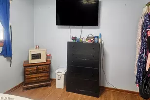 1115 Birch Ln, Loveland, OH 44109 - Photo 14