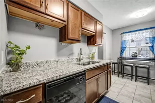 12112 Carrington Ave, Loveland, OH 44135 - Photo 8