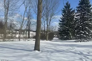 1429 Timberland Ln, Twinsburg, OH 44087 - Photo 10