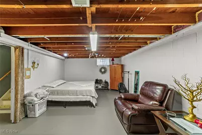 1209 Birch Lane, Loveland, OH 44109 - Photo 20