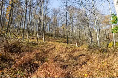 26560 County Road 24, Coshocton, OH 43812 - Photo 36