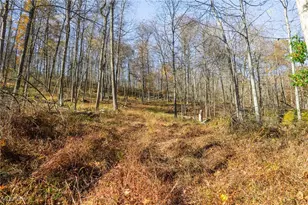 26560 Co Rd 24, Coshocton, OH 43812 - Photo 36