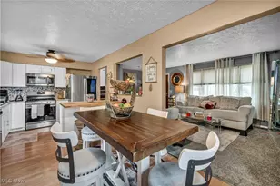 412 Stevenson Ave, Akron, OH 44312 - Photo 8