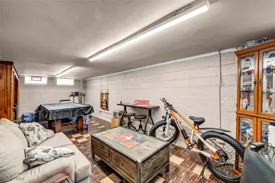 4514 Tuxedo Avenue, Loveland, OH 44134 - Photo 24